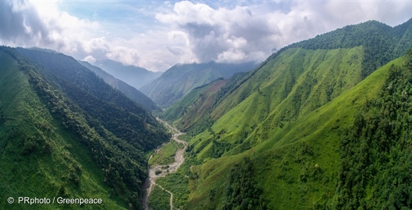 Aerial image of clearcut logging in the natural forest of Fengtongzhai nature reserve, in the Sichuan Giant Panda Sanctuaries - a UNESCO World Heritage Site.