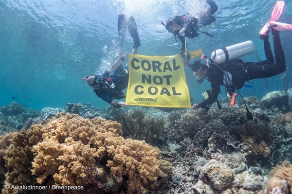 서파푸아의 라자 암핏해에서 '석탄 대신 산호를'이라고 적힌 현수막을 펼쳐보이고 있는 그린피스 활동가들. 그린피스는 인도네시아 정부에 해양 보호 정책을 확대할 것을 요구했습니다.
