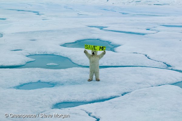 Greenland Tour, Climate Change, 2005