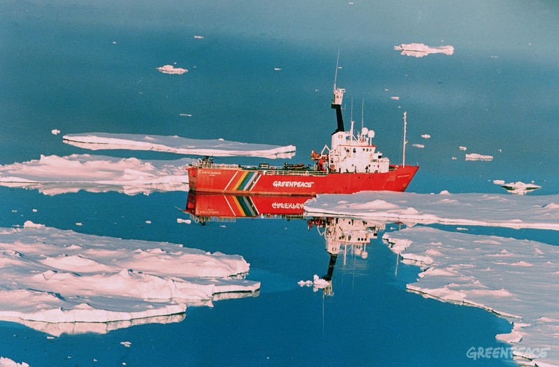 지금으로부터 31년 전인 1997년, 남극 웨델해에 갔던 그린피스 아틱선라이즈호 