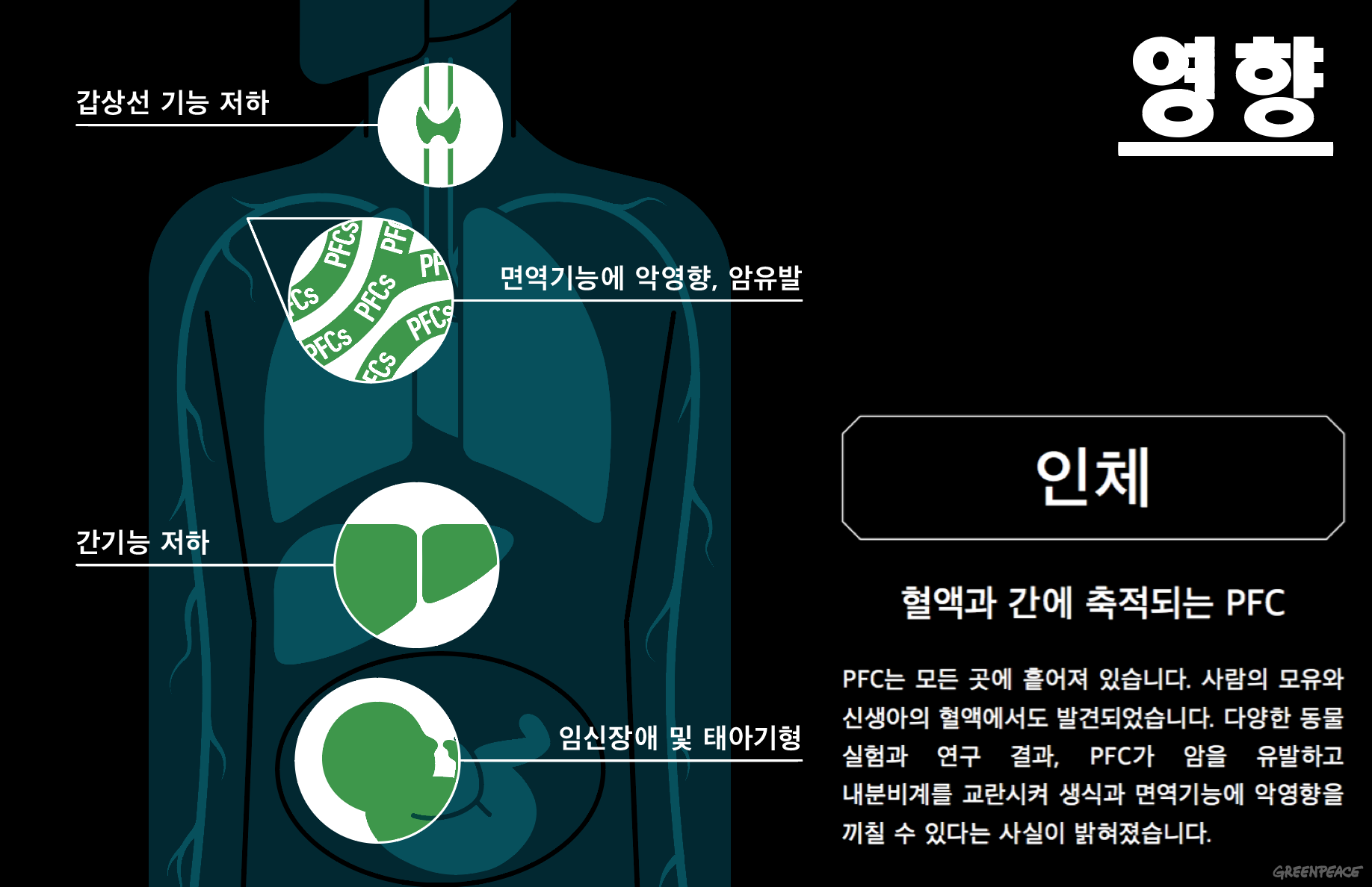과학자들은 이 과정에서 일부 PFC가 체내로 들어와 암을 유발하거나 면역력을 억제하고, 호르몬 체계에 악영향을 미쳐 생신 기능을 저하시킬 수 있다고 주장합니다.