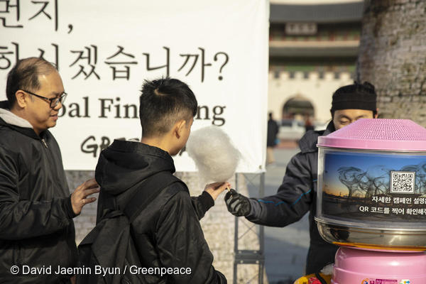 그린피스 활동가가 광화문 광장에서 지나가는 시민에게 솜사탕을 나눠주고 있다