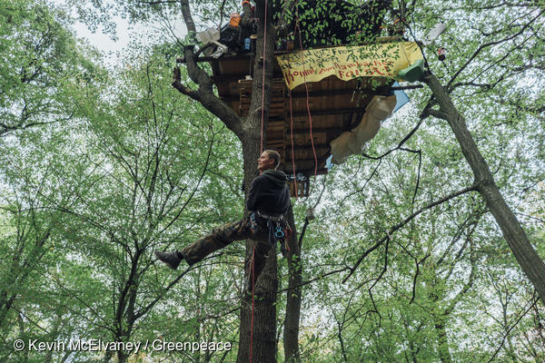 독일 서부 함바흐에서 석탄채굴을 위해 숲을 파괴하는 독일 전력회사 RWE에 그린피스 활동가가 대항하고 있다.