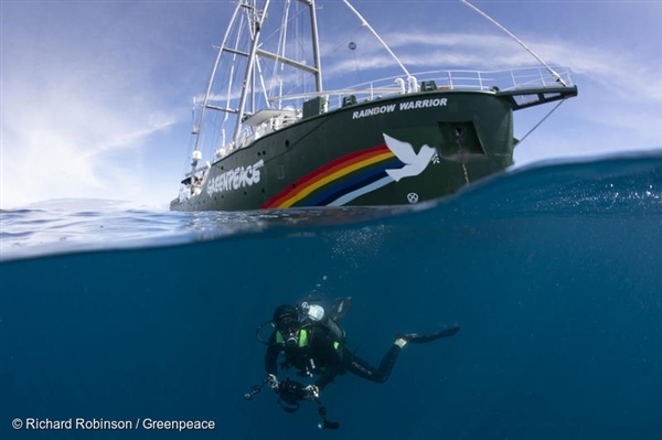 수중 영상 제작자이자 해양 생물학자인 스테판 앤드류스가 그레이트오스트레일리아만의 캥거루 섬에서 촬영을 위해 잠수를 하고 있습니다. 레인보우 워리어호는 석유 반대 캠페인을 위해 호주를 방문했습니다.