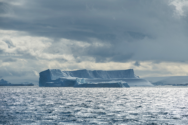 안타틱 사운드(Antarctic Sound)의 빙하