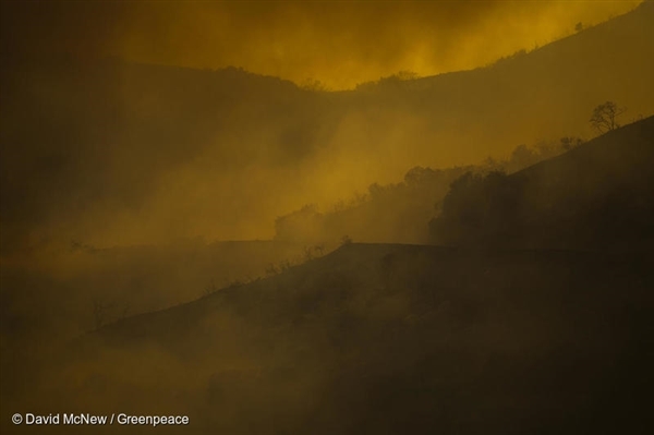 캘리포니아 오렌지카운티와 리버사이드카운티를 가르는 지역이 계속 타오르고 있다. 이번 산불로 2만명 이상이 대피했다