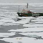 북극을 보호하기 위한 그린피스의 7년간의 노력과 결실