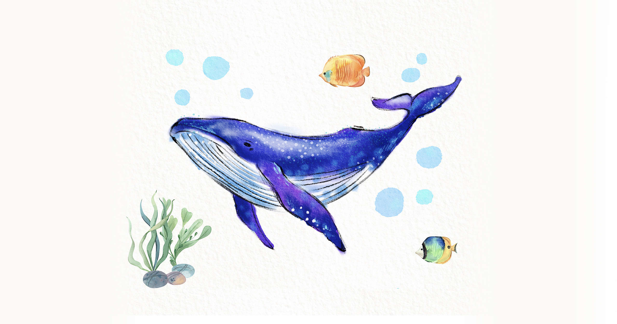 지금 지키지 않으면, 사라질지도 모르는 멸종 위기의 고래 - Greenpeace Korea | 그린피스