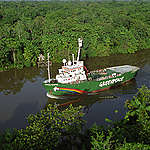 COP30에서 그린피스가 요구하는 4가지 과제