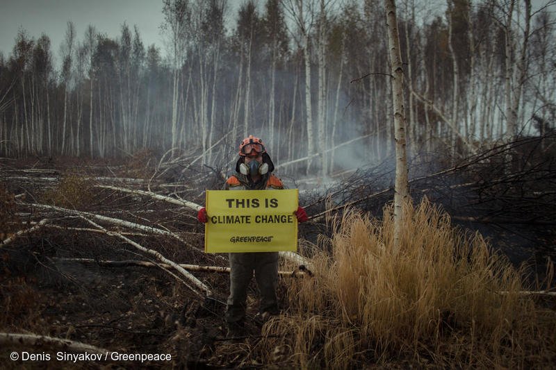 산불이 휩쓴 러시아 북극산림 중앙에 그린피스 러시아 사무소 자원 소방관이 기후위기 대응을 촉구하고 있다.