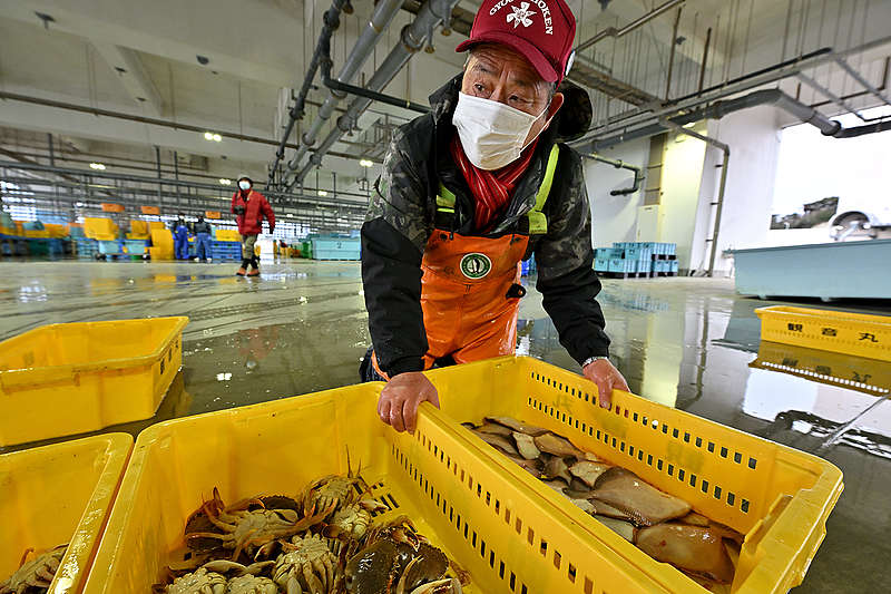 후쿠시마 인근 바다에서 잡힌 수산물의 경매를 준비하고 있는 오노 하루오씨 ©Ryohei Kataoka/Greenpeace 
