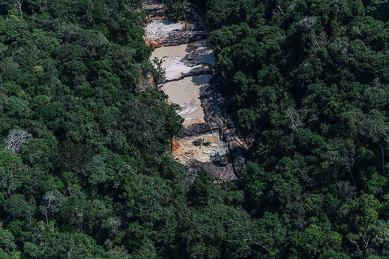 아마존에서 발견된 불법 금 채굴 현장