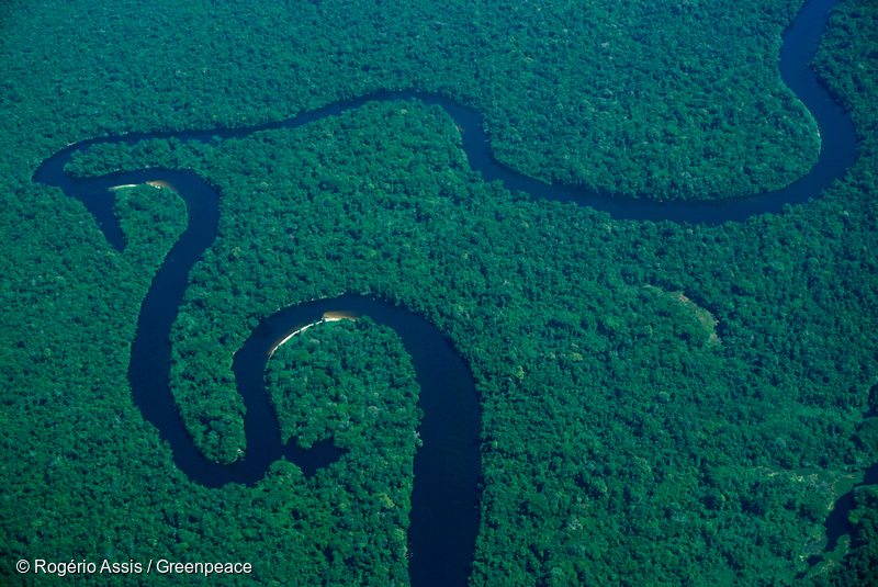 아마존 열대우림과 아마존 강의 모습