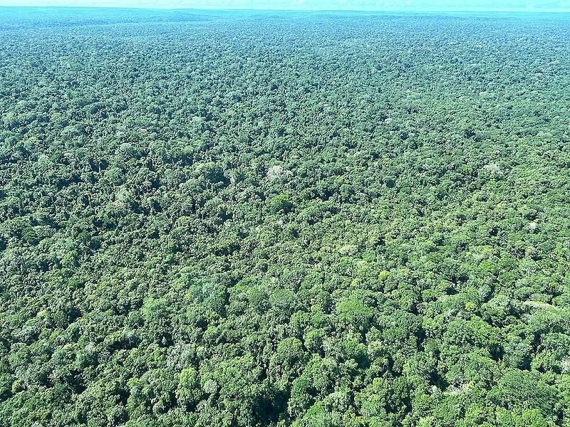 아름답고 경이로운 아마존 우림의 모습