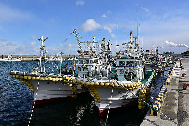 조업을 위해 어선이 정박된 쓰루시하마 항구 (2023년 1월) ©Ryohei Kataoka/Greenpeace

