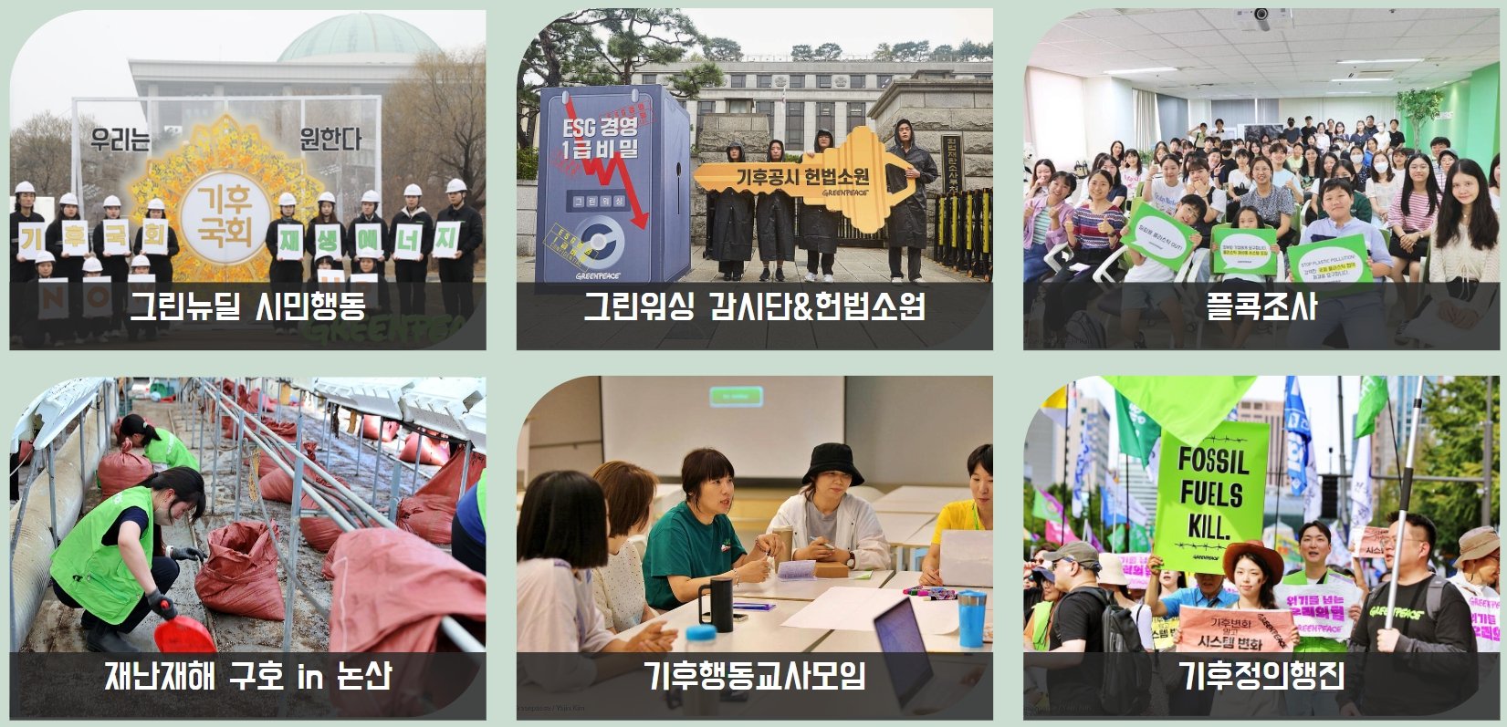 2023 그린피스 자원봉사자 활동 
