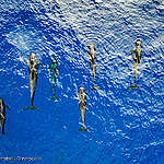 [성명서] 한국 UNOC4 개최국 확정, “공해 보호 위한 구체적 계획 제시해야”