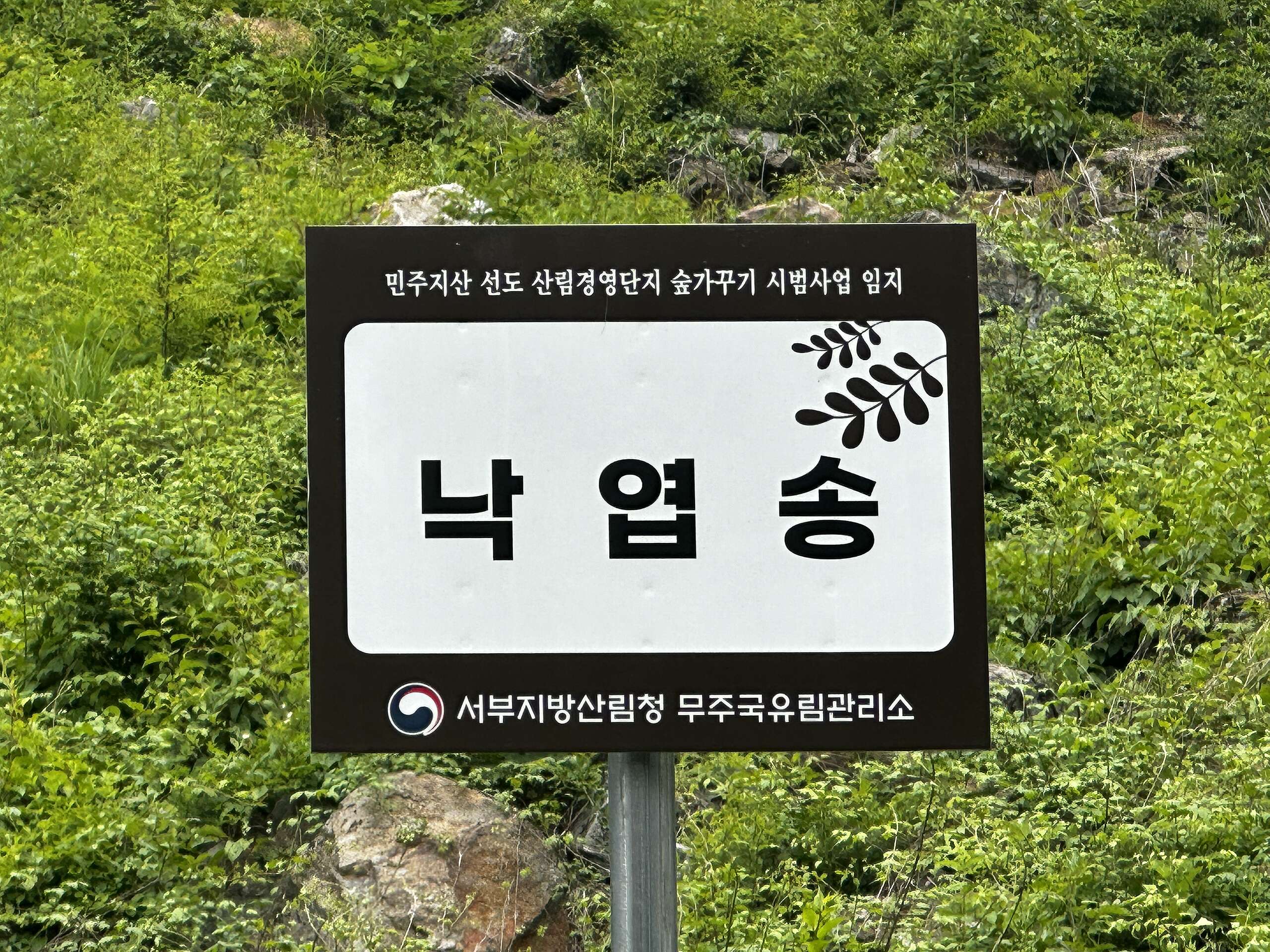2024년 5월 재방문한 현장에서 확인한 안내문