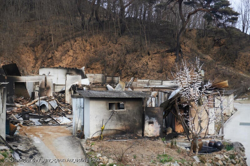2025년 4월, 산불이 산과 마을을 순식간에 집어삼키며 생태계는 물론 사람들의 삶까지 황폐하게 만들었습니다.
