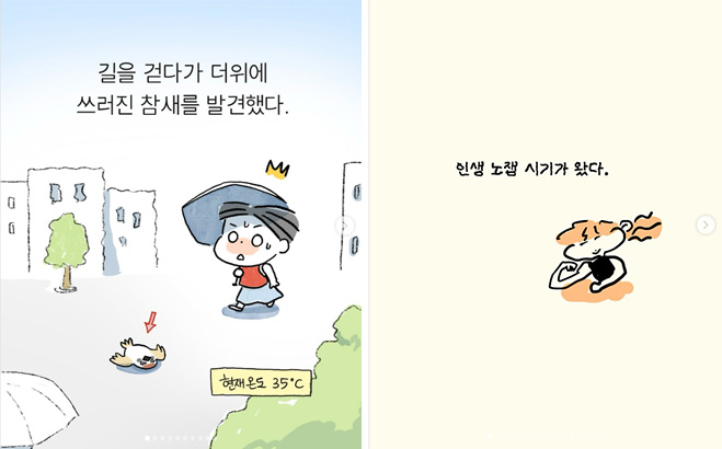구희 @climate.human, 초식마녀 @tozeetoon 인스타그램 계정 포스팅