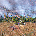 지구를 요리하다- 아마존에서 보내 온 레오 모란의 편지
