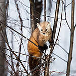 2025년 연말정산 기부금영수증 발급 안내