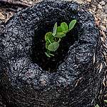 2025년, 우리가 함께 만든 변화 | 생물다양성 캠페인