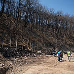 [보도] 경북 산불 피해 실태조사 결과… 주민 의견 배제된 산불특별법, 피해 구제 한계점 드러나