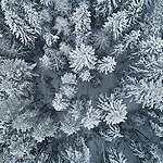 [공지] 2025년 12월 24일, 31일 후원자 전화 응대 시간 변경 안내