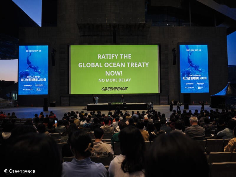 600여 명의 시민들이 씨그널을 관람하기위해 대기하고있다.