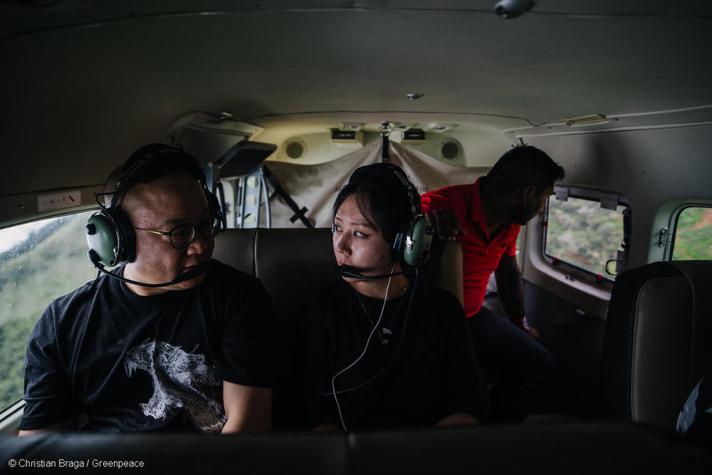 그린피스 멀티미디어 프로듀서