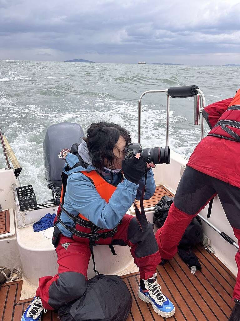 그린피스 멀티미디어 프로듀서