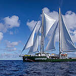 2025년 기부금품 모집 및 사용명세 보고서