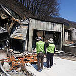 2025년 3월 발생한 청송 산불 현장을 조사하는 그린피스 활동가들