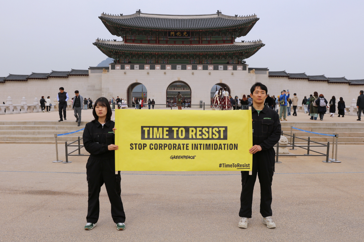 그린피스 활동가들이 광화문 앞에서 배너를 들고있는 모습.