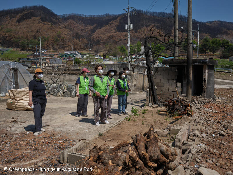 2025년 3월 발생한 영덕 산불 현장을 조사하는 그린피스 활동가들