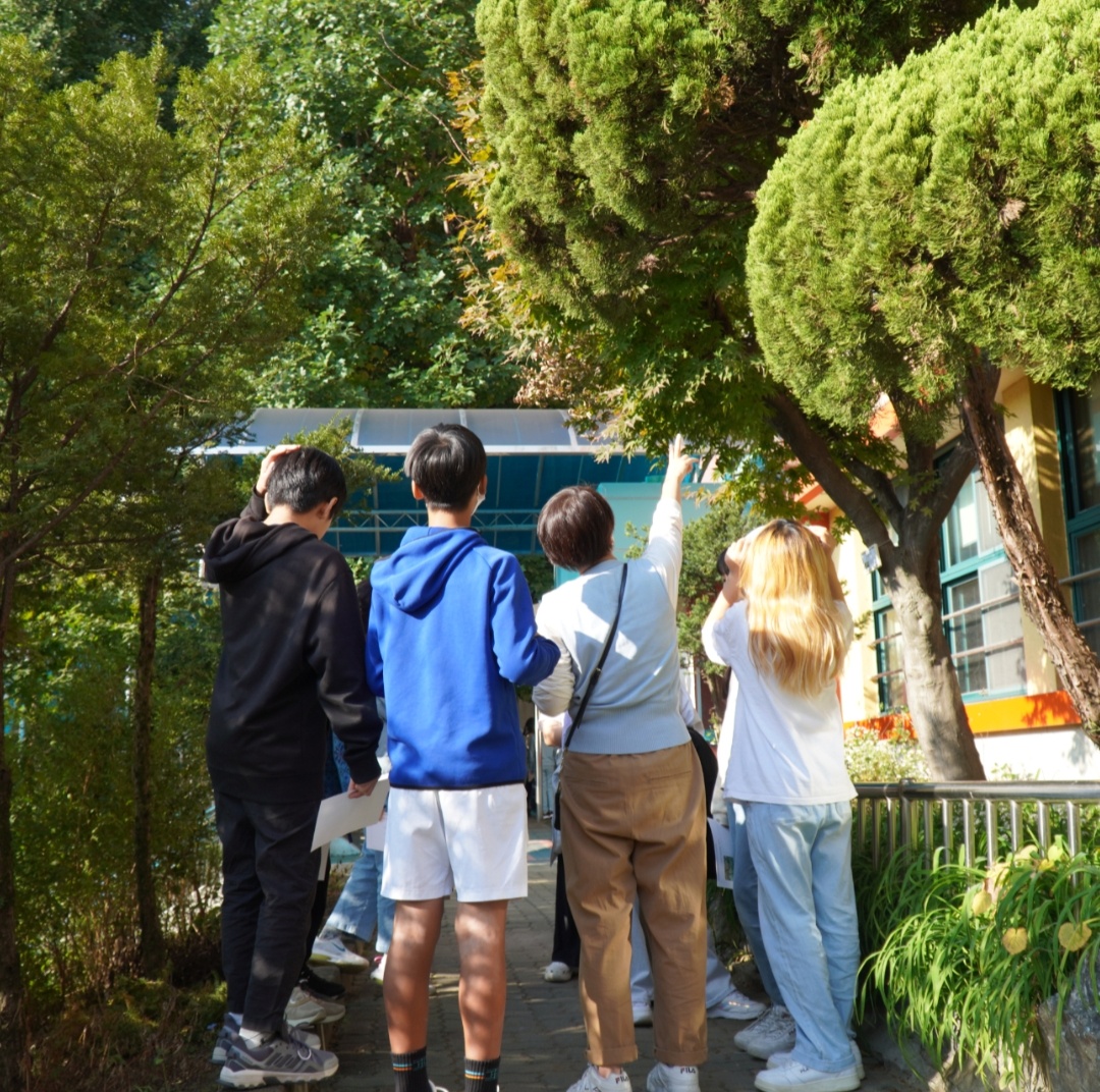 김은님이 보내주신 동네의 모습