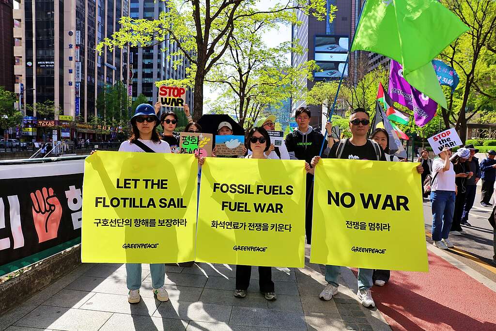 그린피스 활동가들이 팔레스타인 연대/전쟁 규탄 시위에 참여하는 모습이다. 