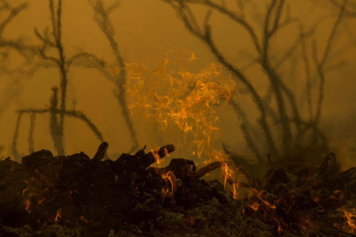 California Holy Wild Fire. © David McNew
