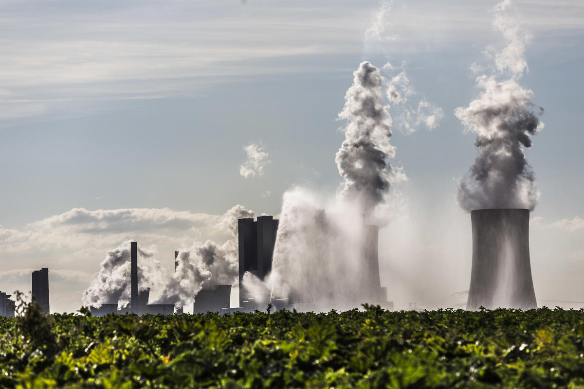 Braunkohlekraftwerk Neurath und Zuckerruebenfeld. © Bernd Lauter