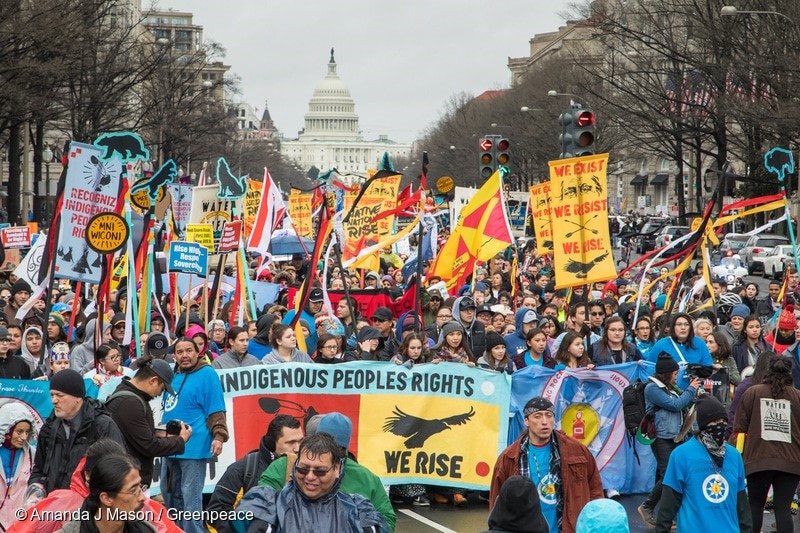 Tausende marschierten durch Washington DC, um sich solidarisch zu zeigen mit den indigenen Völkern, die sich gegen den Bau der Dakota Access Pipeline wehren.