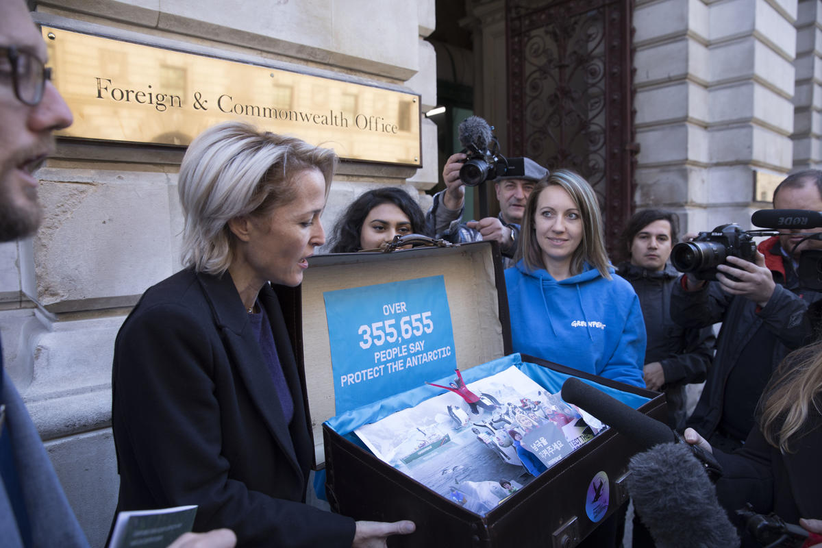 Gillian Anderson remet la pétition "Protégez l'Antarctique" à Londres.