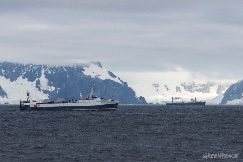 February 27th, 2018. Antarctic Peninsula, Greenpeace expedition to promote the formation of an Antarctic protected area with the MY Arctic Sunrise.Krill fishing vessels in the vicinity of Trinity Island.Photo by Daniel Beltrá for Greenpeace
