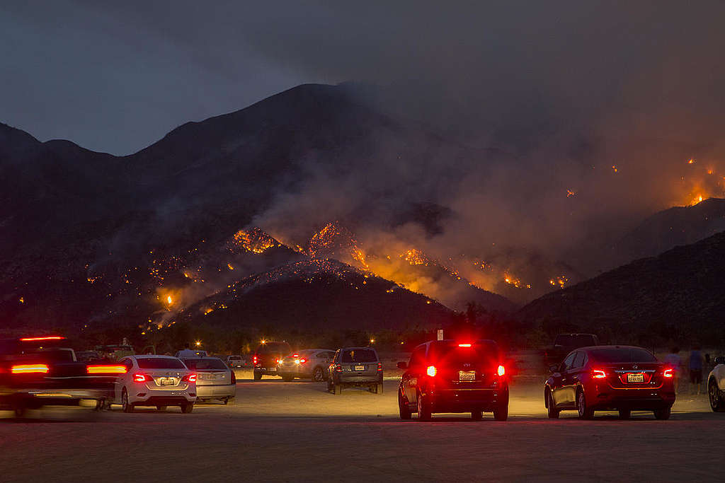 California Holy Wild Fire