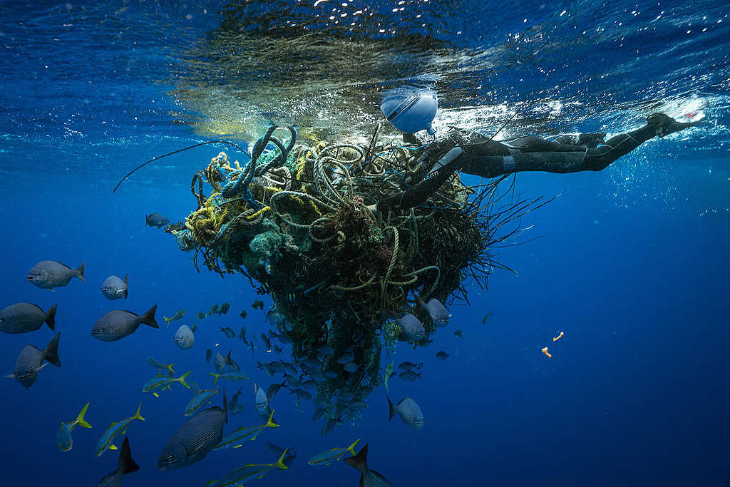 Tavish Campbell fixe un suivi GPS sur les filets de pêche fantômes du Great Pacific Garbage Patch. La bouée indiquera la position des filets lorsqu’ils se déplacent dans le gyre, ce qui nous permettra de mieux comprendre les courants et la façon dont les déchets s’accumulent dans le gyre.