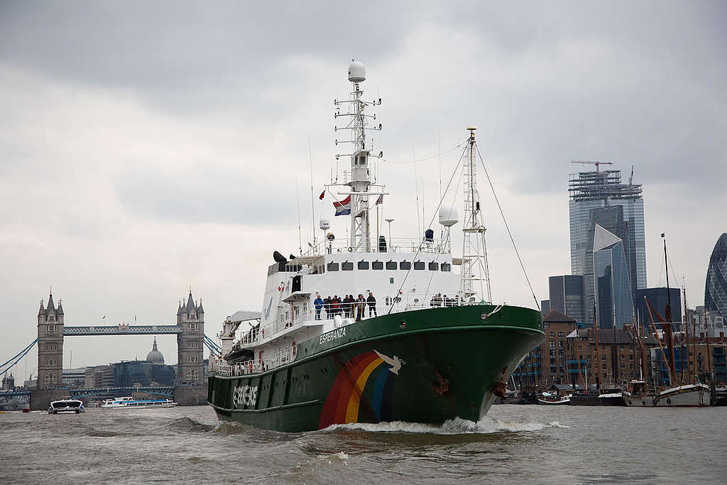 Die Esperanza in London, im Hintergrund die Tower Bridge. Von hier aus geht es für das Greenpeace-Schiff auf eine einjährige Expedition.