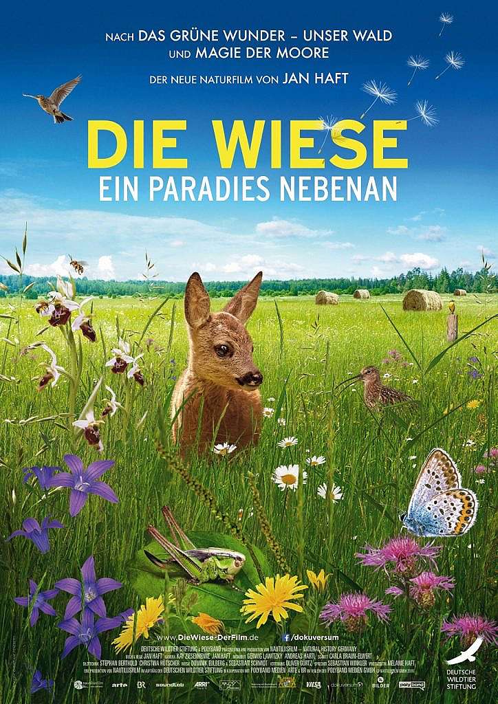Filmplakat 'Die Wiese – Ein Paradies nebenan'