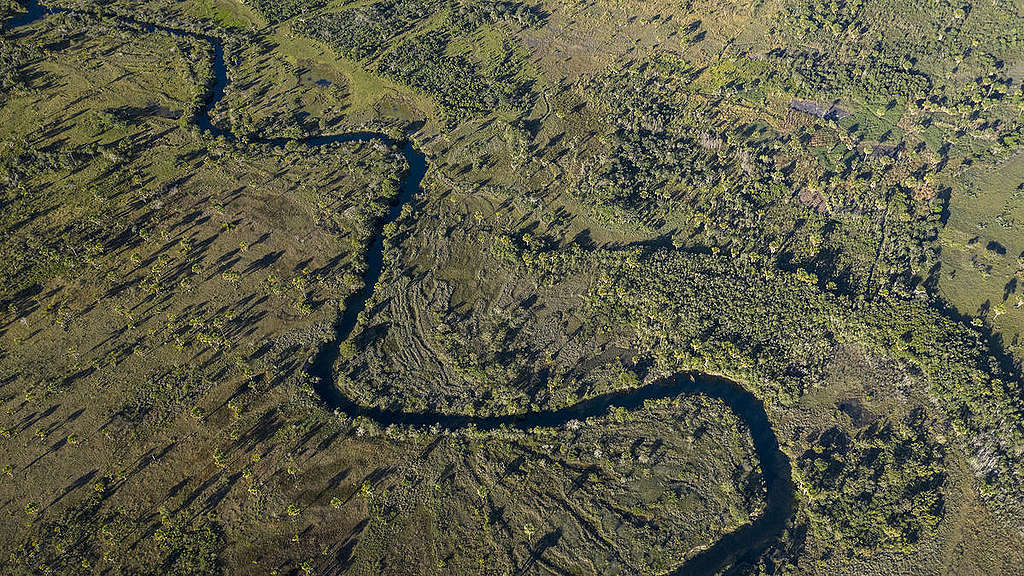 Paysage dans la région de Cerrado au Brésil.