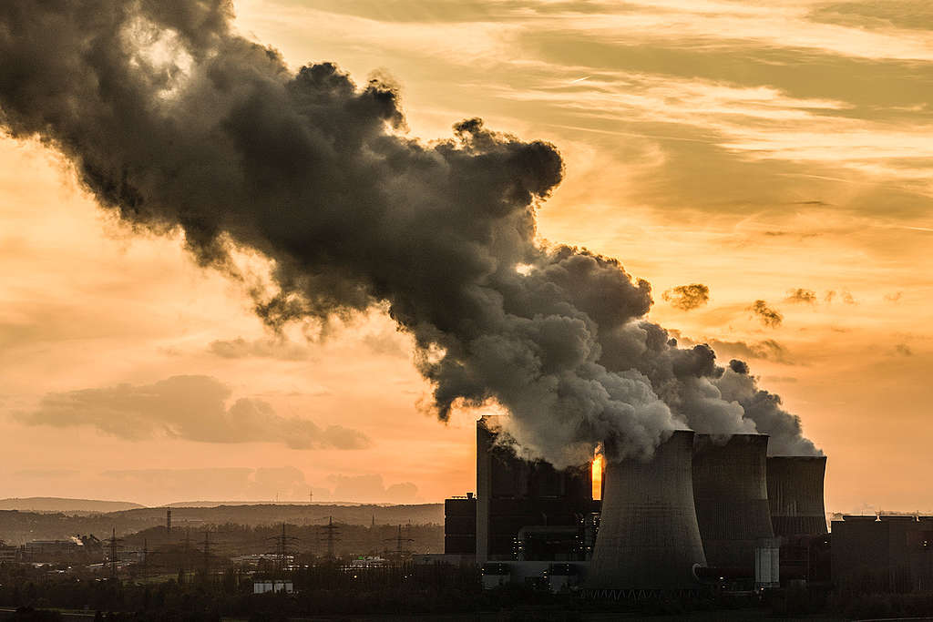 Coal Fired Power Plant in the Rhenish Lignite Mining Area. © Bernd Lauter / Greenpeace