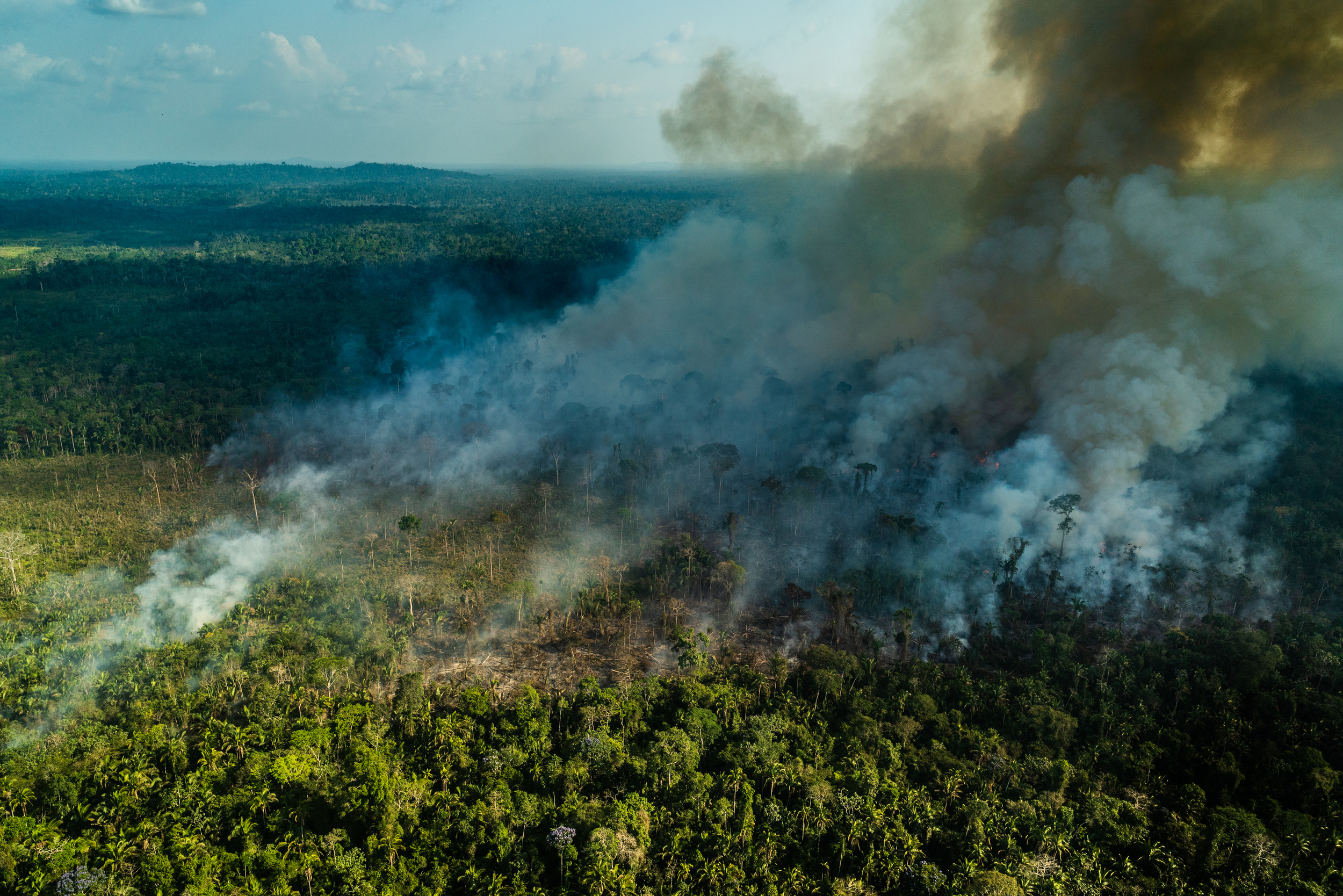 © Fábio Nascimento / Greenpeace